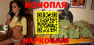 стафф Краснознаменск