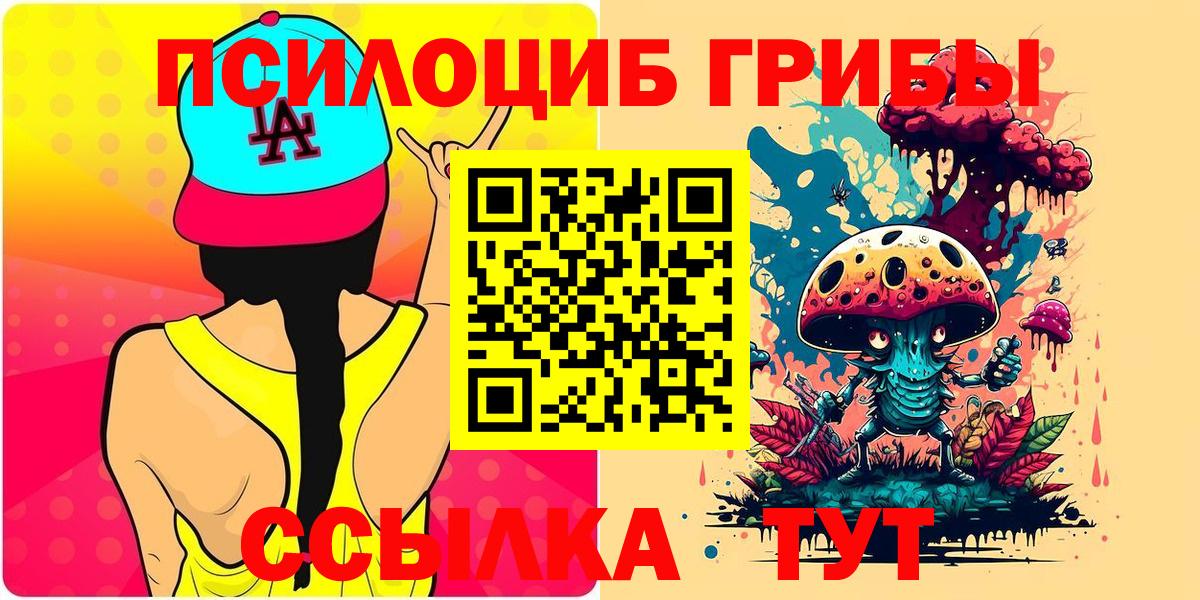 Псилоцибиновые грибы Psilocybe  Вход с VPN  Шадринск 